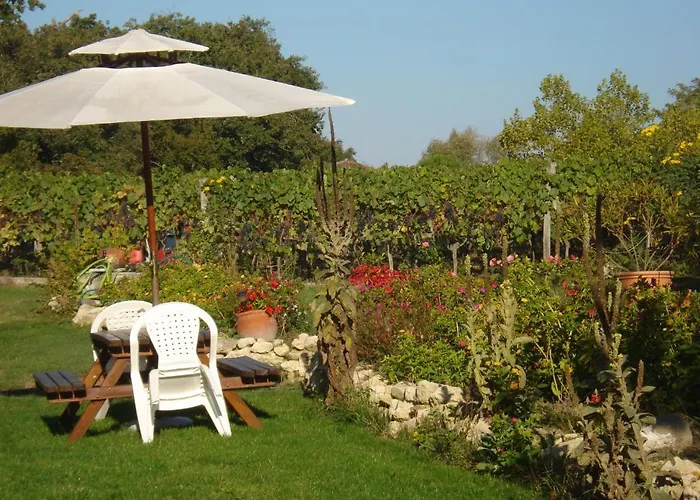 Bed & Breakfast Chambres D'hotes Domaine De La Rose Des Vents Castelnau-sur-l'Auvignon